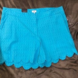 Crown & Ivy NWT Curvy Turquoise Essential Shorts